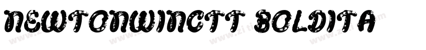 NewtonWINCTT BoldIta字体转换